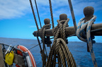 30_Sailing_the_Tasman